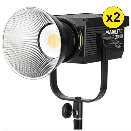 Nanlite FS-300B